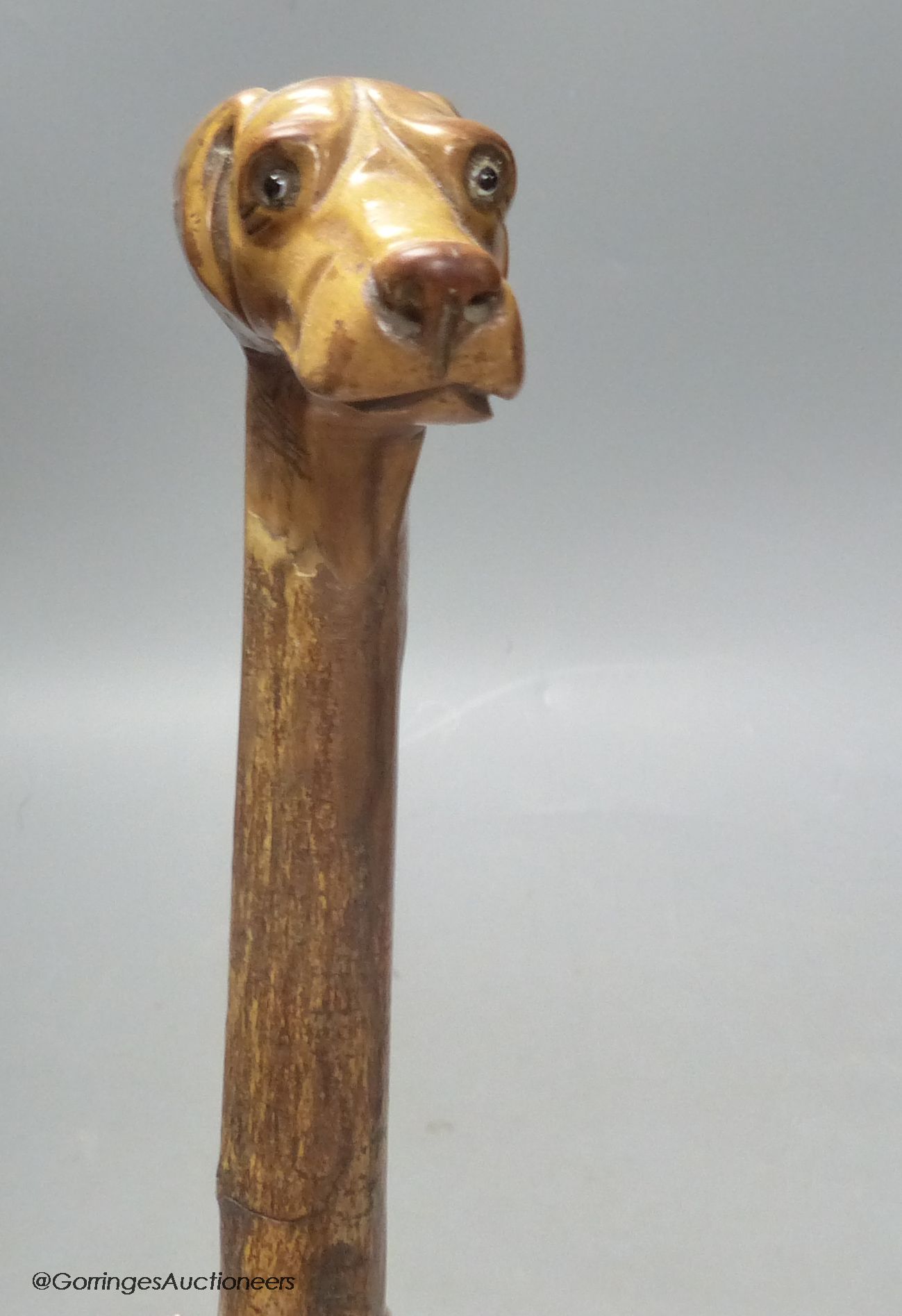 A carved walking stick in the form of a dog's head with glass eyes